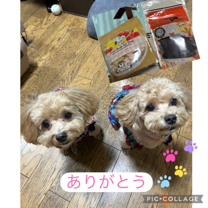 Bea754db f2ea 4930 83bb 2ccfb2a5d7d0 1756605283671