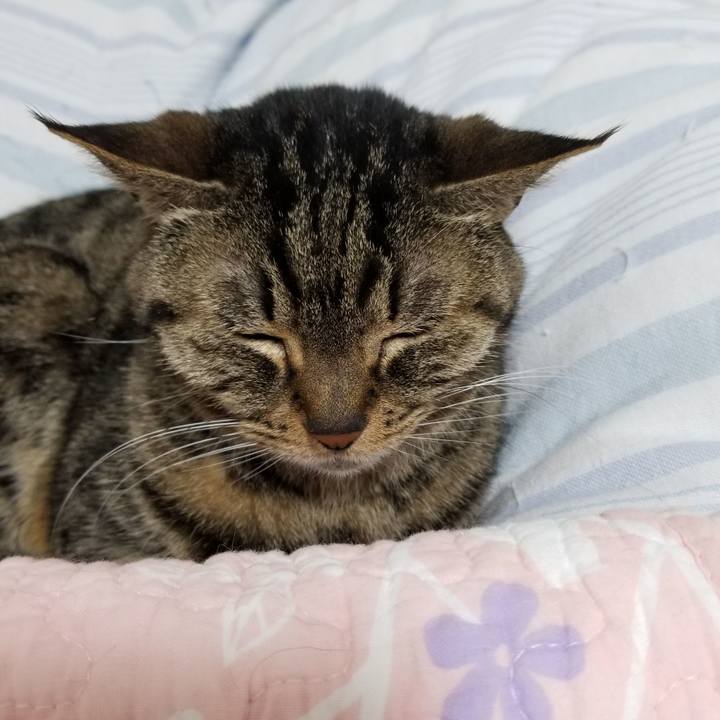 Bea7691e 196d 4aab aa15 0b115bad443a 1619471883855