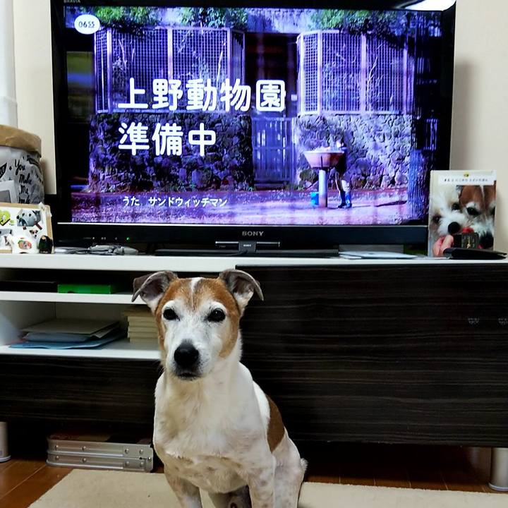 Bea79d1e bb46 486d bd1c 9c26c01acb35 1553725298438