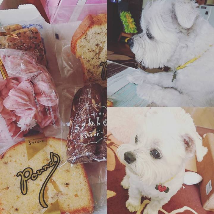 Bea7ca0d 7c84 417c b9f9 66ab8dc521ac 1617189334325