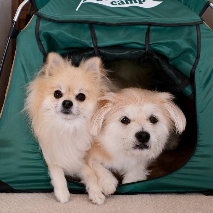 Bea7ca22 d917 4b3d 8963 4b7d24b5cb32 1762121733763