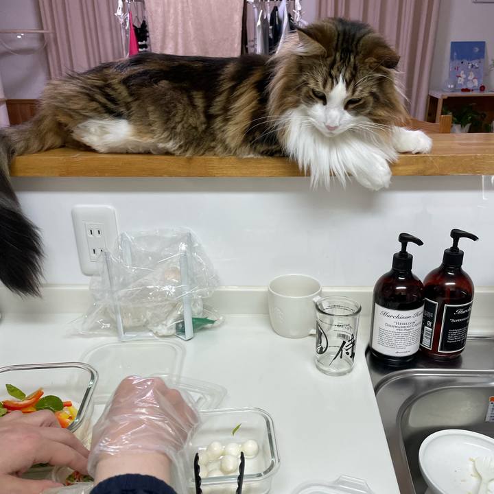 Bea80bf6 53d4 4944 b852 333550d52658 1672005083507