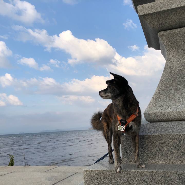 Bea82fd6 18a3 40d0 a608 2085888427d5 1663239930345