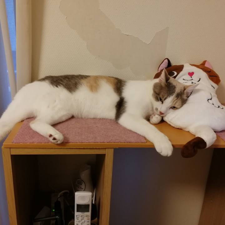 Bea843d7 4013 4458 95a9 8b01d9098e47 1561195927839