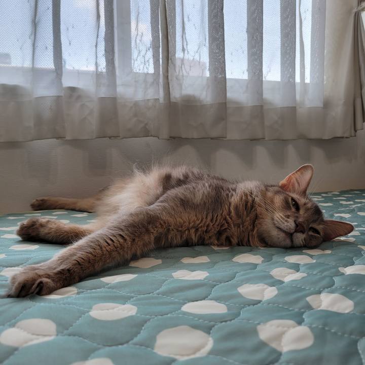 Bea84c4a ba8a 483a b12c 4dc6d458fa83 1659531506851