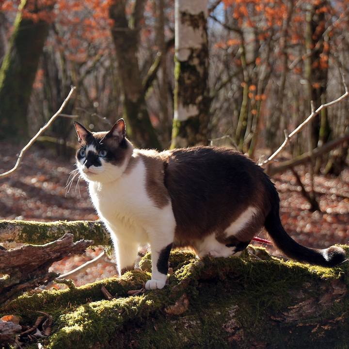 Bea84da2 a932 4906 beb6 39ac9efe4647 1563270326505