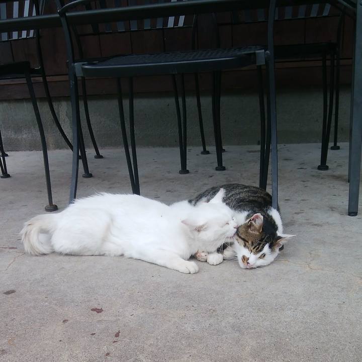 Bea88c07 5f57 438b a604 2104e3a5ac46 1537196855537