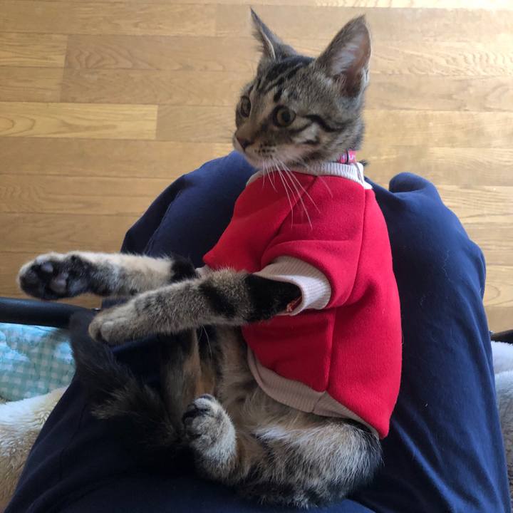 Bea8b4f2 904b 441f a182 8d1660be7bb1 1729901196665