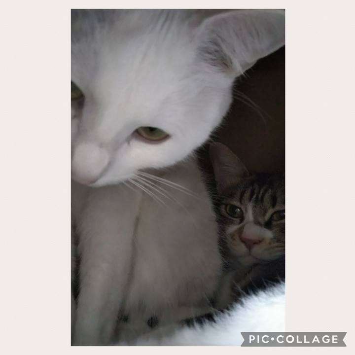 Bea8c98c 6630 4b32 9c65 668cffabbb33 1676756891006