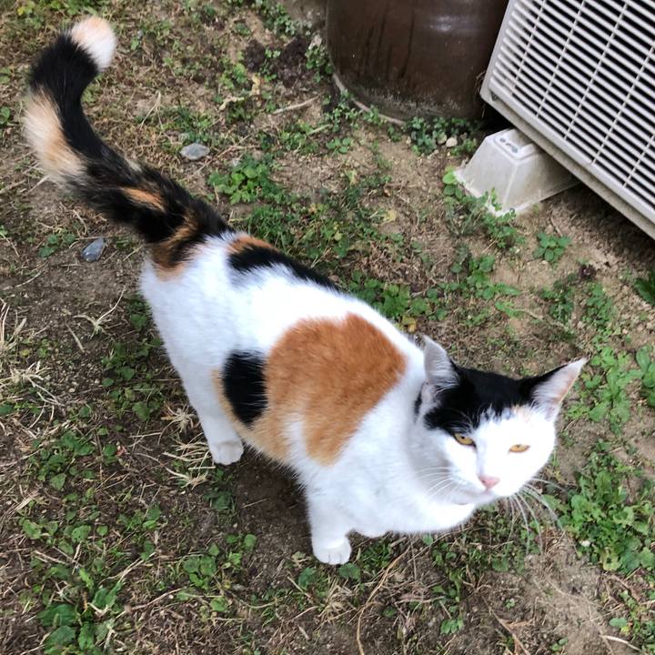 Bea8ed14 9877 4a9d a100 1e944e8a04c1 1605693415916