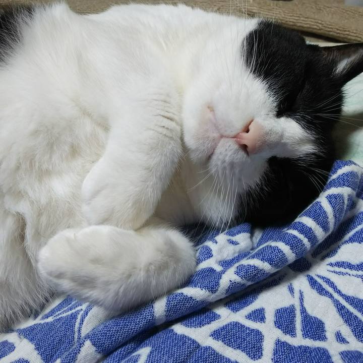 Bea90bc2 7697 4edf ae5c 9c985ac38c45 1537102530883