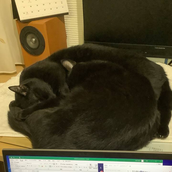 Bea9260b 3881 4523 a844 91eb4eb5ff6f 1634312043885