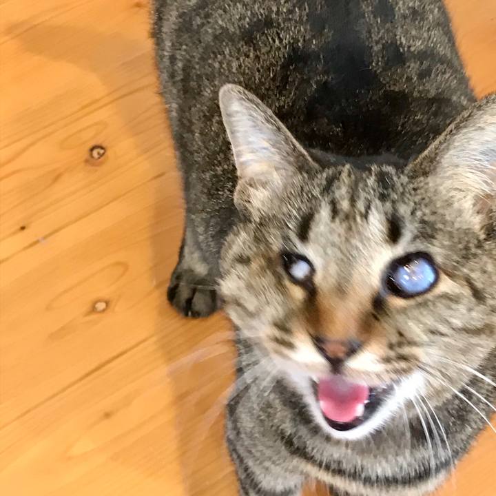 Bea967d3 dff8 4019 8dc8 d0656b479ee8 1582101398952