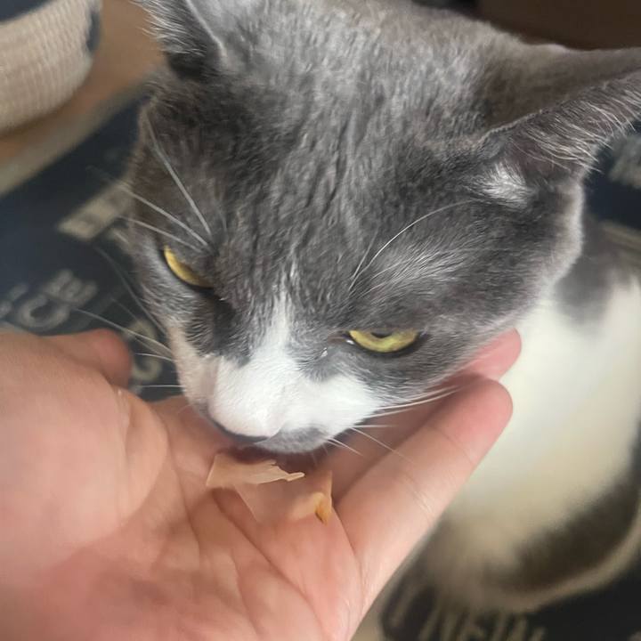 Bea99163 6283 42fa a152 1cba792cdf91 1722491369214