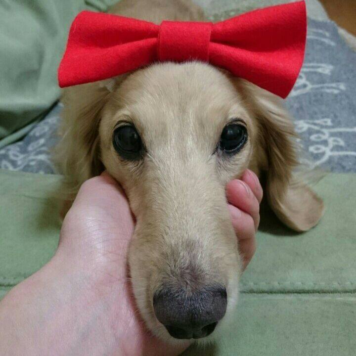 Bea9b26f c24b 46ae 80bc 0b49a027b660 1564845925895