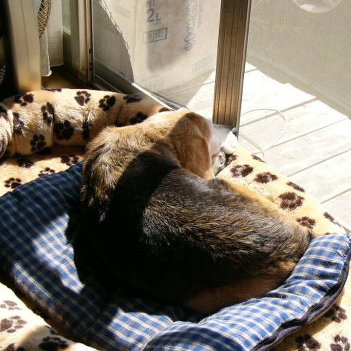 Bea9f025 a223 4102 bfc8 c8e9b7afa1a7 1660524399496