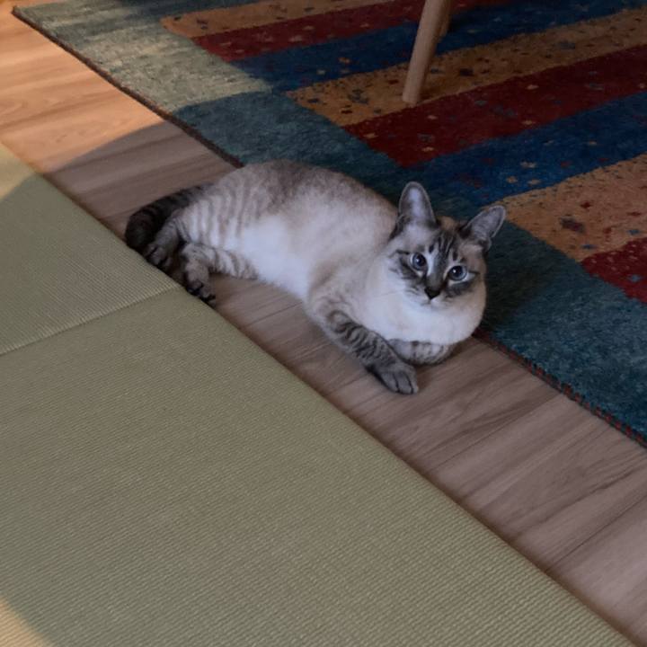 Beaa0b20 2dd1 472b a23a 2f4f3dad3939 1687859049542