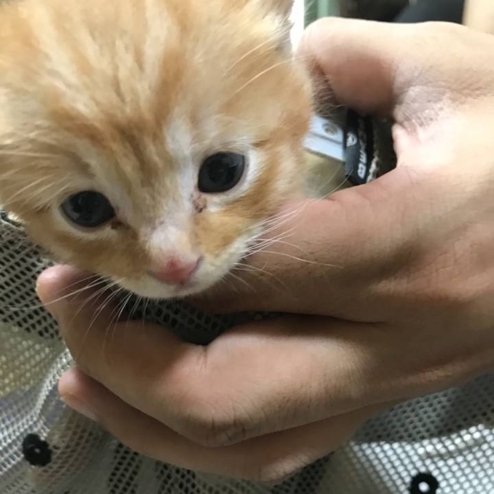 Beaa307e 3d74 4502 a624 07ac08703667 1628839309324