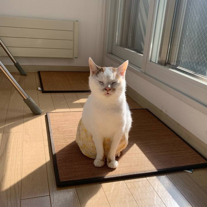 Beaa6dcb f5e5 475f 92f6 0cc1a8ff23f4 1632812884008