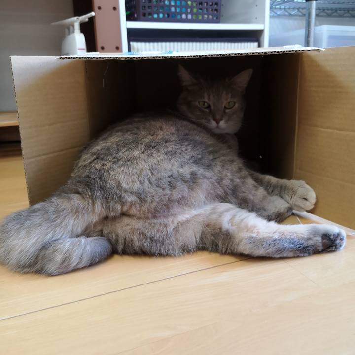 Beaa74d6 f442 4a48 b98f 0aba5b346435 1597634646572