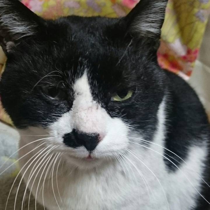 Beaacd82 e4de 4d02 9c98 1f1f2d5c0836 1515588732155