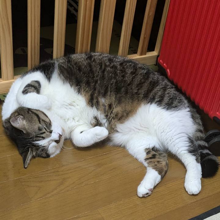 Beaad1da a44d 48bb b95f e76f2dee6cd2 1730721871248