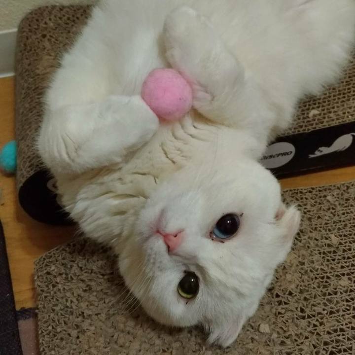 Beab0835 00a2 4c2d a425 edb24e1fe7ce 1550814352490