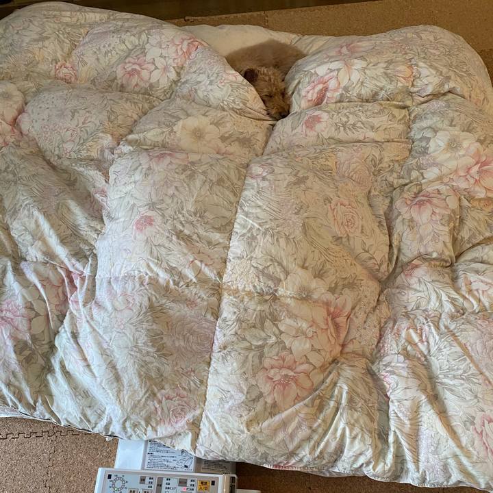 Beab1873 f04e 486c a25d 5a01323c6675 1619941258417