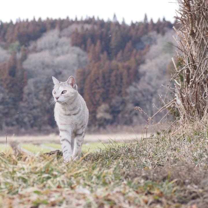 Beab2133 55e4 40ce 9983 3e97bc321b09 1773315832399