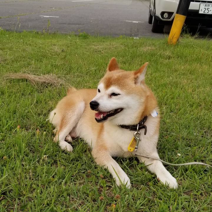 Beab29e9 e5d0 49f3 b227 6c19d35fe32b 1627896296061