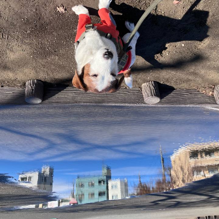 Beab7238 010d 4ee7 8e9e ee0a7ea908b6 1772622726512