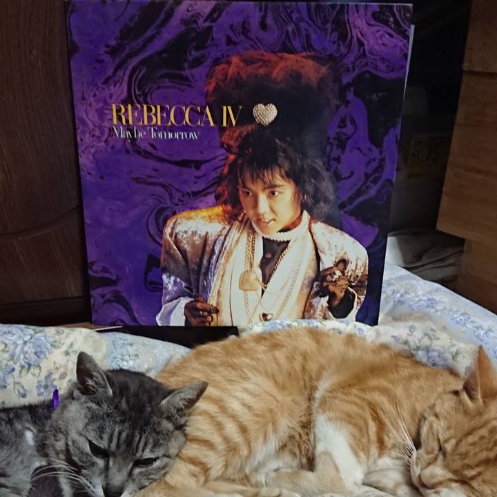 Beab94bc 341c 47ef 8222 6acecbe7c376 1590839653256