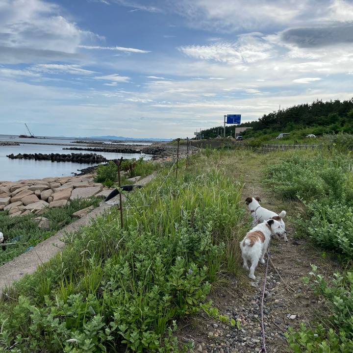 Beab9fd1 387a 43e9 8248 645cf89634e7 1657753809787