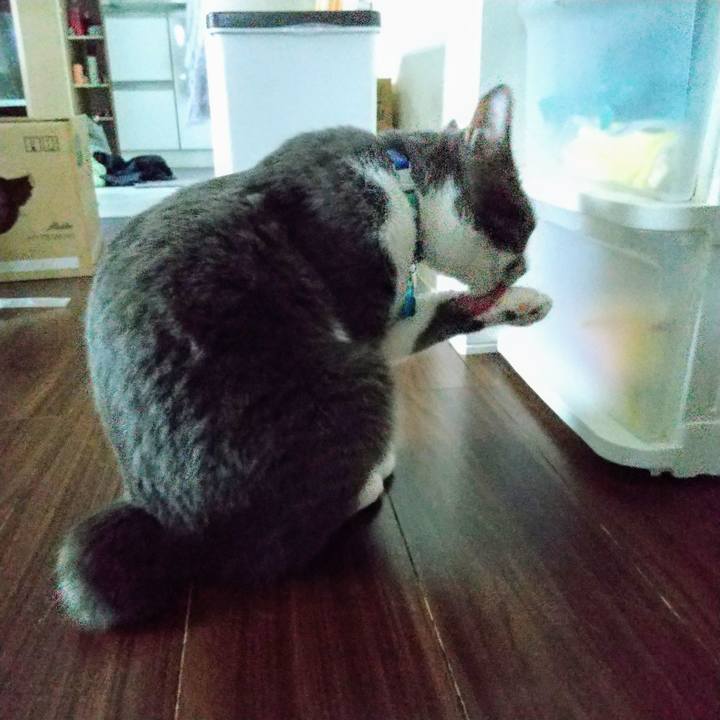 Beababab 4d18 4623 bf86 b8c1aadc70bd 1625004726200