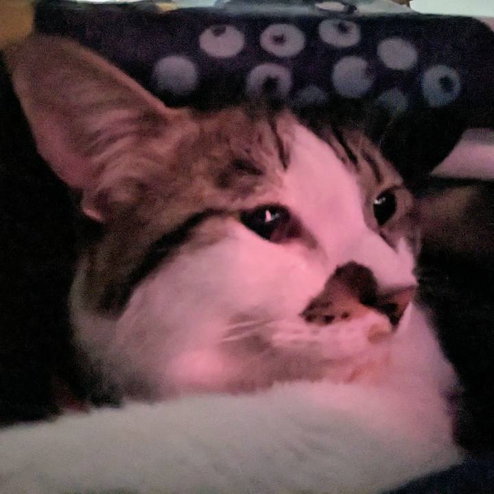 Beabf92f fd98 4822 8de2 77d408fb0a64 1679731889287