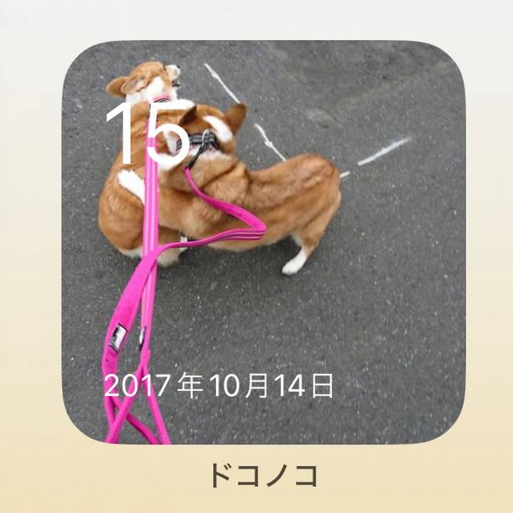 Beac1e30 2d76 454b abcc 8018b962e925 1760492466706