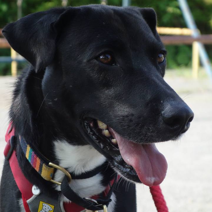 Beac323f 12b7 4dd7 bf4e cd3239d3962c 1588641237149