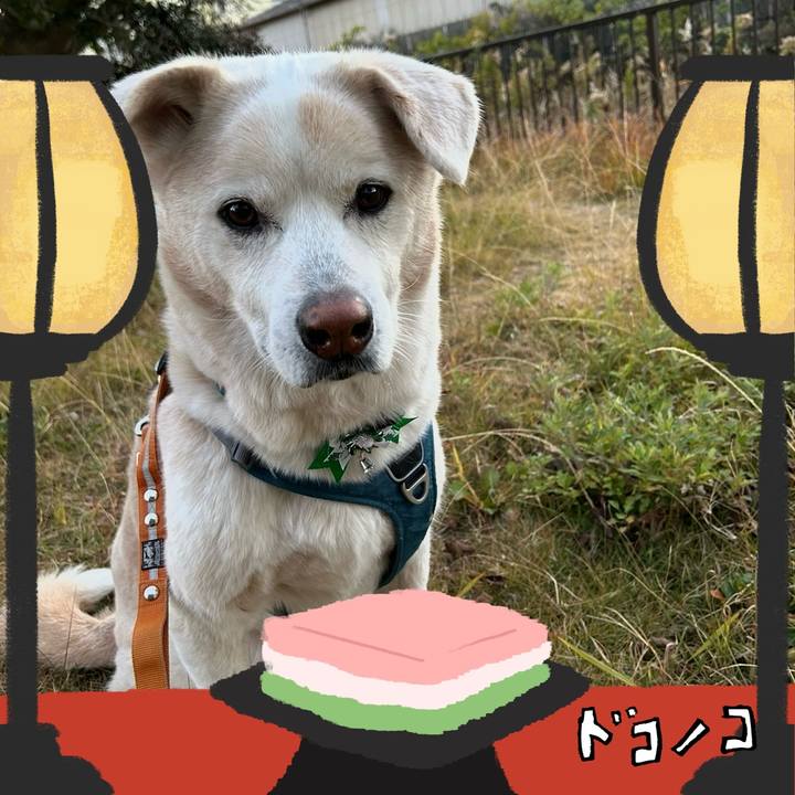 Beac3b60 602b 456e a563 bd2ecbac99ba 1741173239539