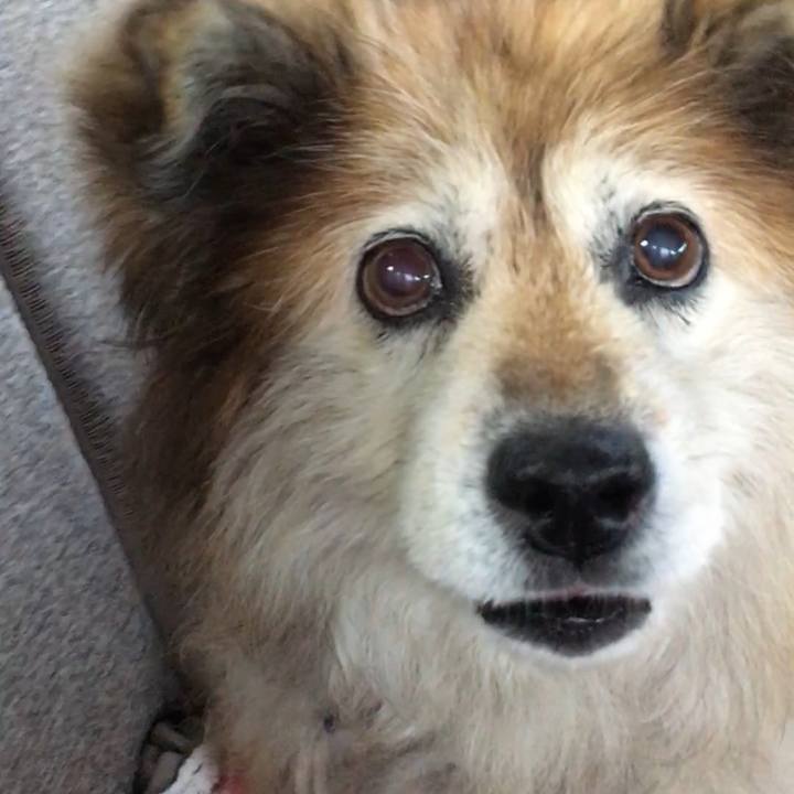 Beac485a e7dd 451b b95b 514596d7435e 1616633634981