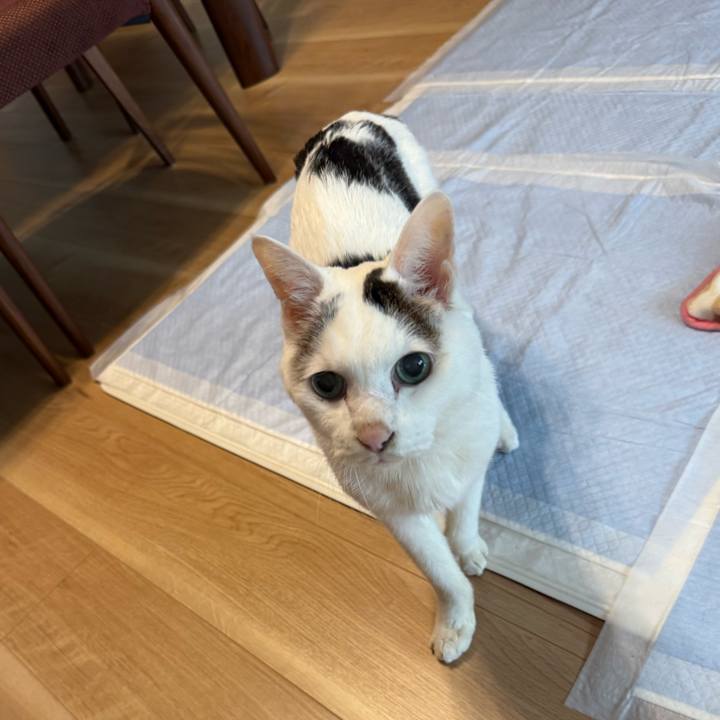 Beac48e9 4d7d 48ed 8962 f5d4acbf945d 1767830738334