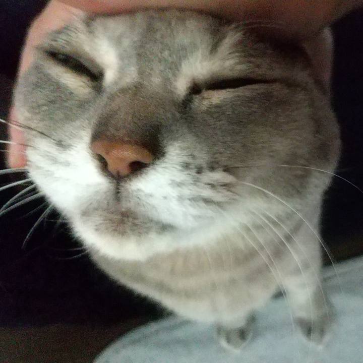 Beac873d 1570 4a26 8805 4fa1ccee3288 1647644907385