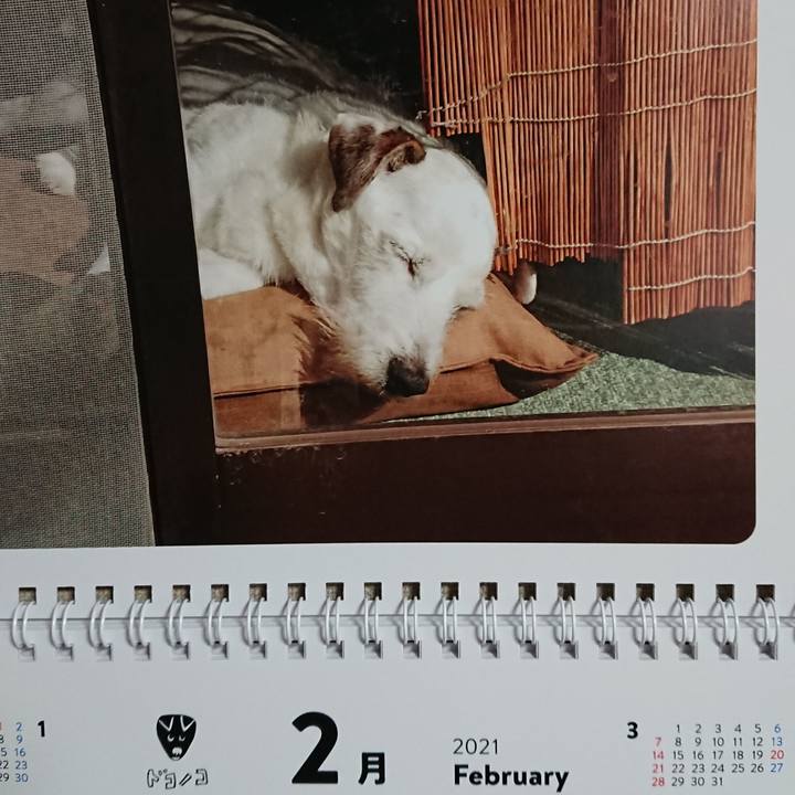 Beacadd4 4a53 4259 b359 7c4c29fe4568 1612742259169