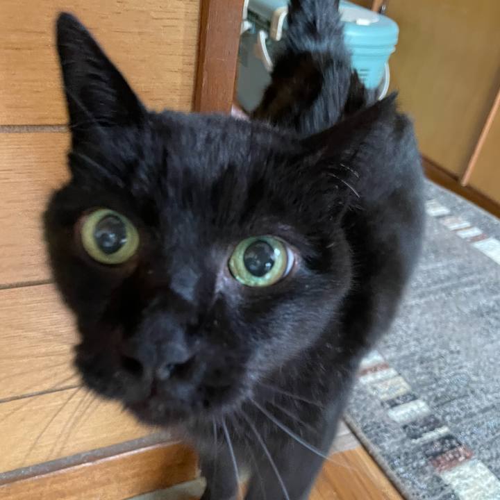 Beacb166 257e 4b58 aeb8 3415b21329cc 1645838508573