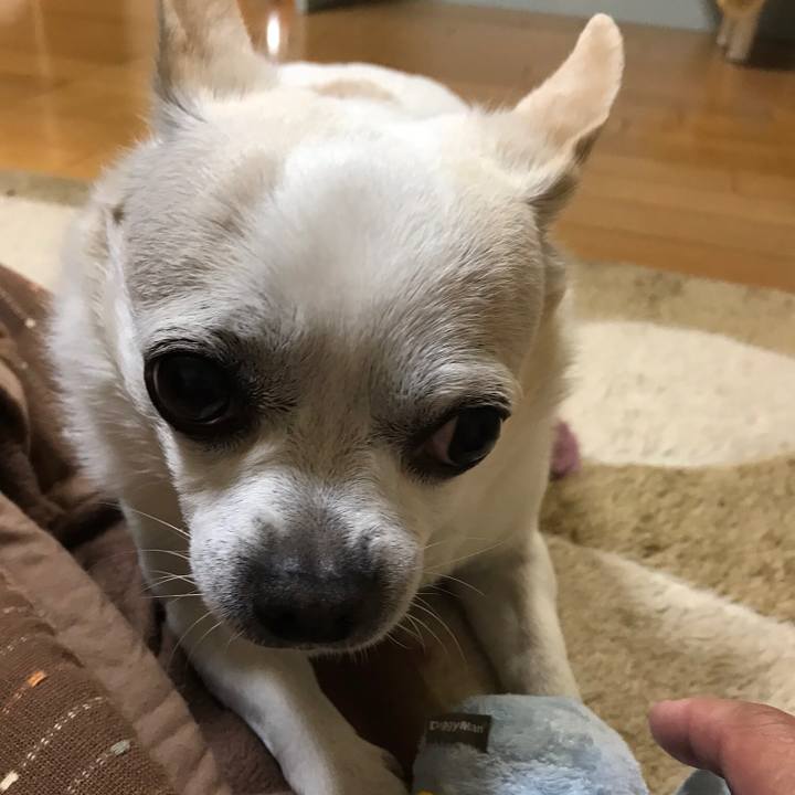 Beacb549 fcef 4189 8ed0 74b0f6fbf35a 1555423124131