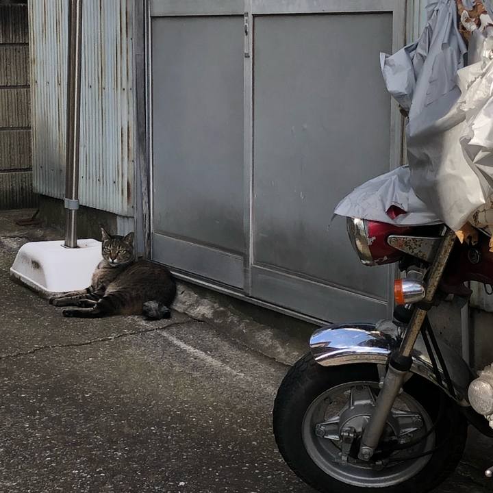 Beacc8d3 0969 4cf8 ab2a 7d2fdcf0d18b 1565876400557