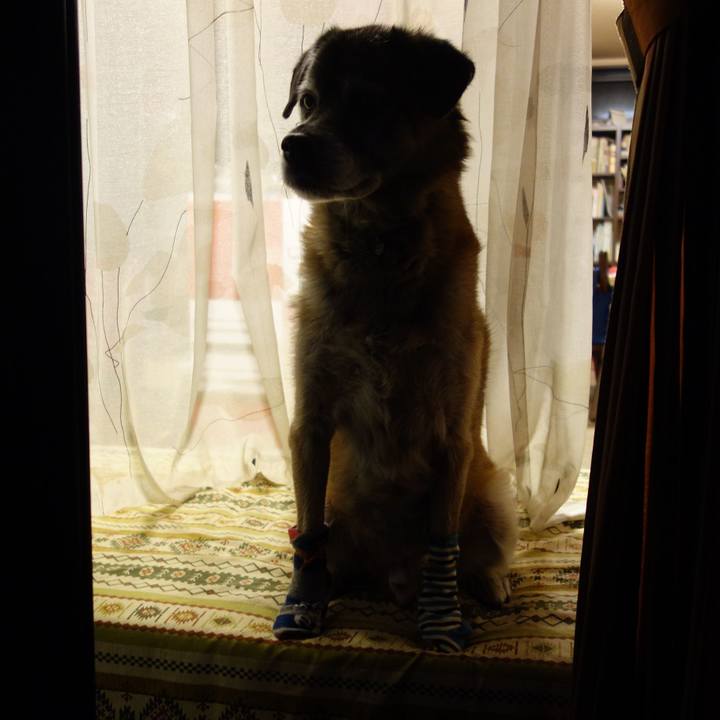 Beacd14f 9b87 493e 9d6c 192fb0f0d48b 1644801506464