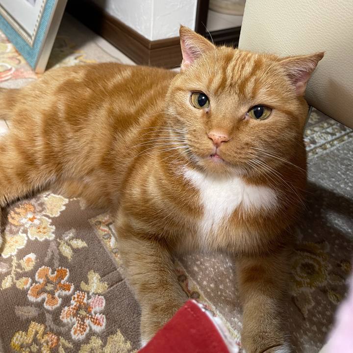 Beacd435 b942 4f51 80e8 cf2d4cd9ce25 1619710017176