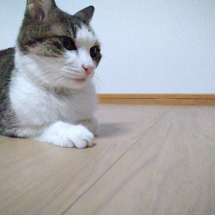 Bead047a df53 44fa a579 fc416734f36f 1538997320274