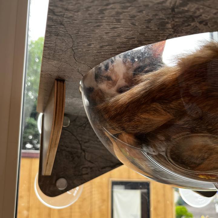 Bead0f3b a730 4e4d 9b07 e47a39c66a15 1720305012305