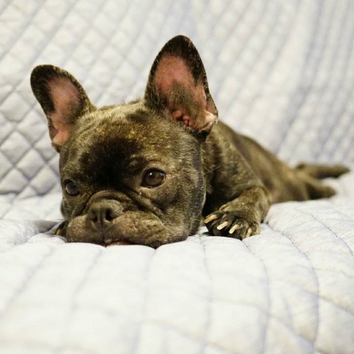 Bead2d41 2cdc 46e1 a58e 0e15b82d378e 1532859346471